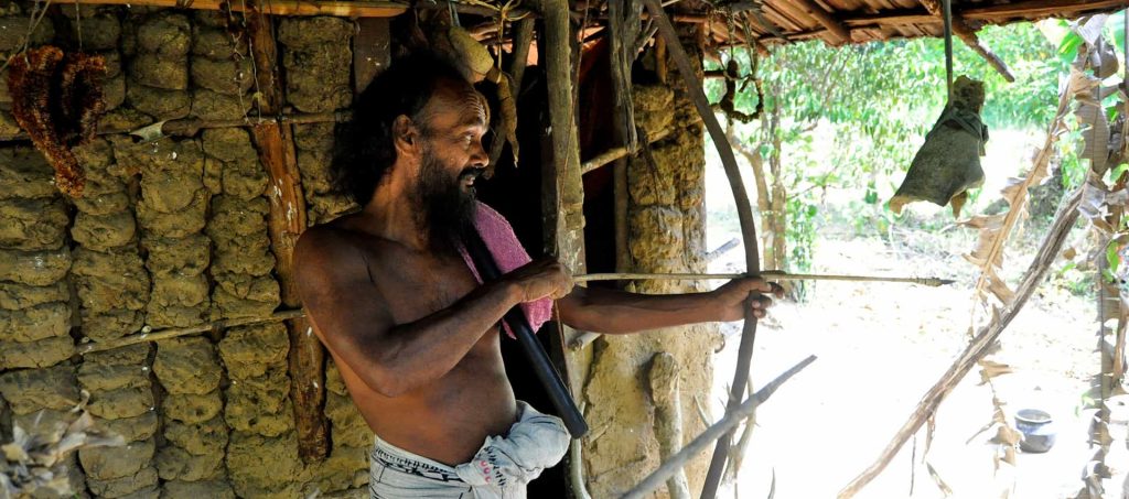 Gal Oya Naturaleza En Estado Puro En Sri Lanka