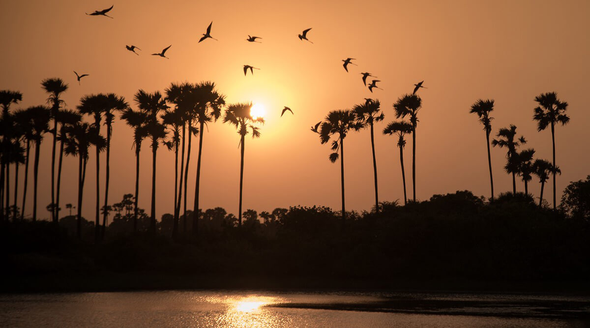 atardecer en mirissa