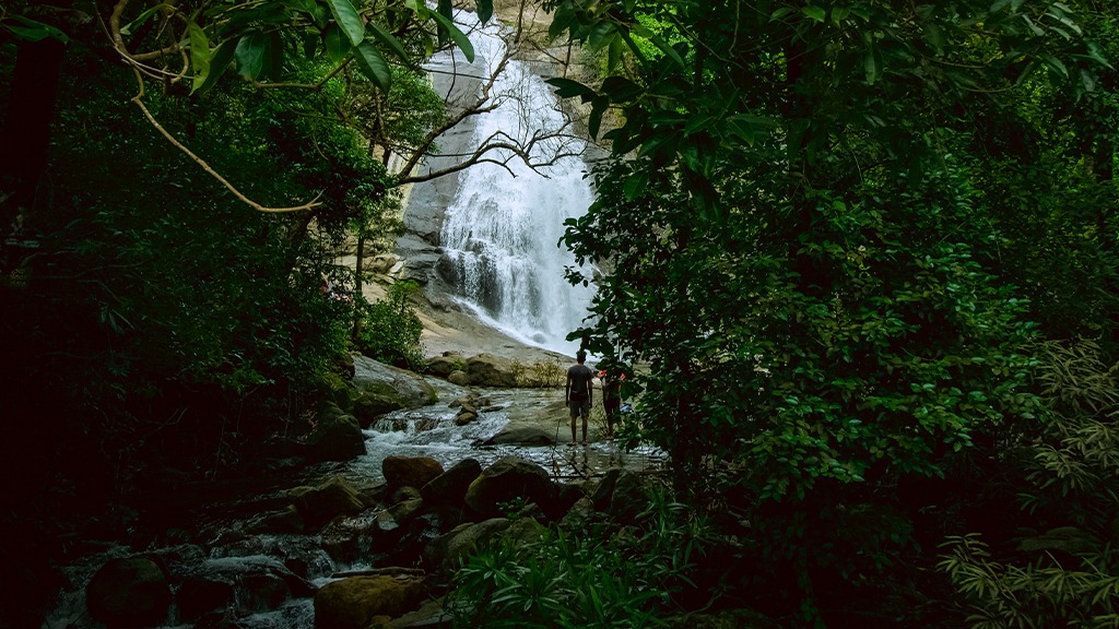 cascadas en kozhikode