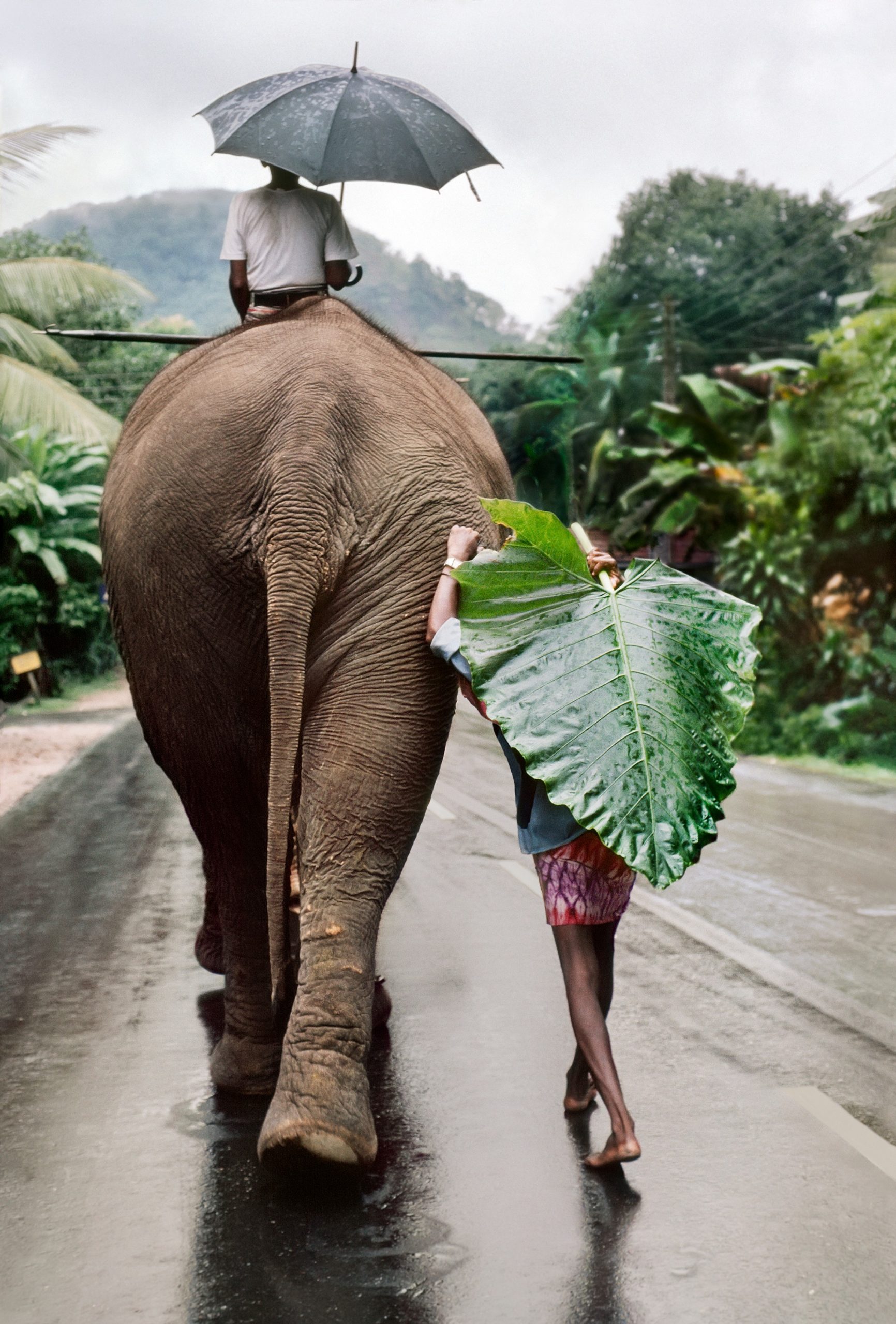 monzón en Sri Lanka 