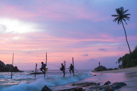 pescadores zancudos en sri lanka 